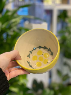 Cuencos Lemon x2 en internet