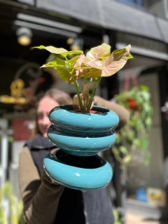 DONUT XL - tienda online