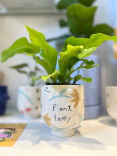 SOL (CAPSULA X GIULI)