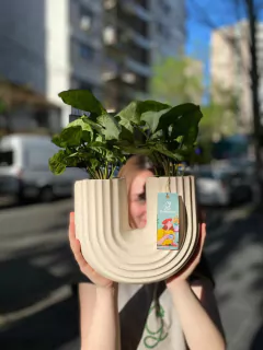 ARCOIRIS en internet