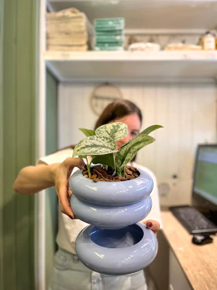 DONUT XL - comprar online