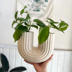 ARCOIRIS en internet