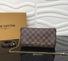 Bolsa Louis Vuitton Favorite Pm Damier Ebene Italiana