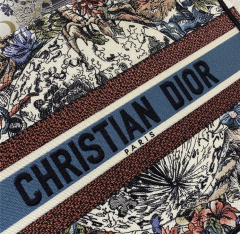 Bolsa Tote Dior Book Constellation Iatte Multicolorido Italiana - comprar online