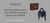 Imagem do banner rotativo Romaly Grifes Bolsas