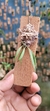 Chytroglossa marileoniae - comprar online