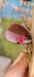 Acianthera hamosa