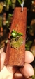 Imagem do Anathallis barbulata