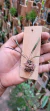 Octomeria hatschbachii - comprar online