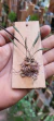 Octomeria hatschbachii
