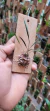 Octomeria hatschbachii - loja online