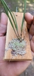 Octomeria yauaperyensis - Orquidário Aparecida