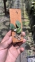 Sophronitis cernua var. mineira (Recém plantada) - loja online