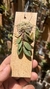 Acianthera recurva bicolor na internet