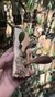 Bulbophyllum sikkimense - comprar online