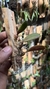 Bulbophyllum sikkimense na internet