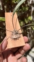 Pleurobotryum crepinianum (P)