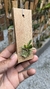 Pabstiella trifida na internet
