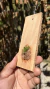 Acianthera aveniformis (P)