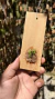 Acianthera aveniformis (P) - loja online