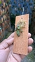 Imagem do Acianthera rostellata