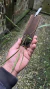 Acianthera octophrys Lacre 0000191 - loja online