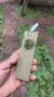 Octomeria campos-portoi “Rara” Lacre 0001359 - loja online