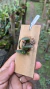 Sophronitis acuensis Lacre 0000328