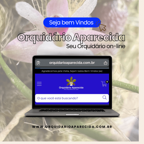 Carrossel 1
