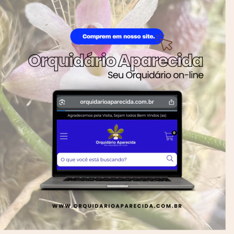 Carrossel 1
