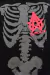 Image of Aokigahara - Moletom Capuz - (cópia)