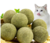 Bola de catnip - comprar online