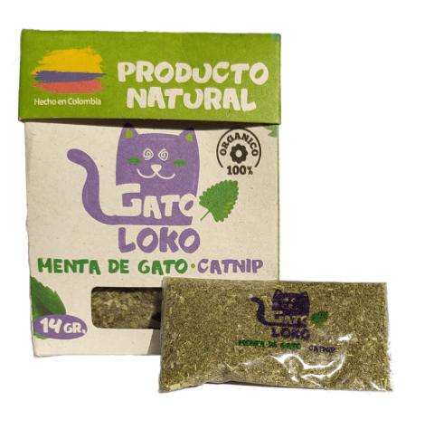 menta de gato catnip gato loko