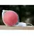 Pelota maciza para perros - comprar online