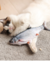 Pescado interactivo 20cm - Bastet pet