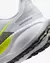 NIKE PEGASUS 41
