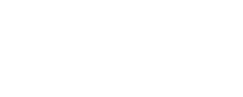 Ws Store 