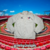 (G) Jaqueta Viagem São Paulo Adidas 2023 Bege/Dourada - comprar online