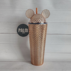 DISNEY en internet