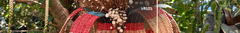 Banner da categoria Vasos