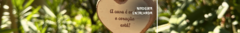 Banner da categoria Madeira Entalhada