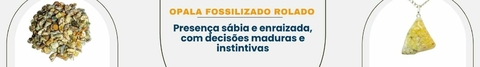 Banner da categoria Opala Fossilizado Rolado