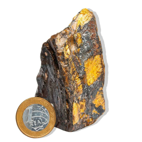 01 Olho de Tigre Pé Serrado 7 a 12cm 300 a 400g Tipo B