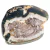 Geodo Ágata Aberto Com Tampa Pedra Natural 4,95Kg 21cm - buy online