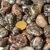 1kg Riolita Rolado Pedra Natural M 20 a 35mm Tipo B - comprar online
