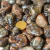5kg Riolita Rolado Pedra Natural M 20 a 35mm Tipo C - buy online