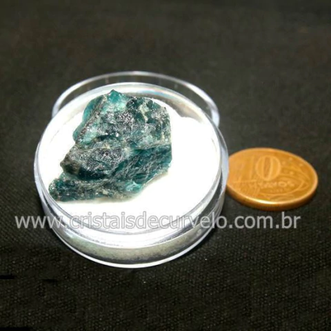 Apatita Azul Natural Pedra do Ano 2022 No Estojo Cod 130736