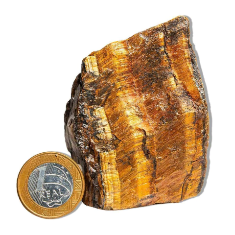 01 Olho de Tigre Pé Serrado 7 a 12cm 200 a 300g Tipo B