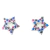 Brinco Estrela Zircônia Mista Prata 925 9mm