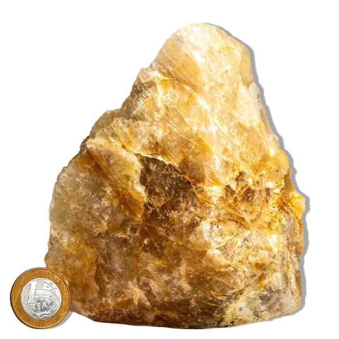 01 Hematoide Amarelo Pé Serrado 15 a 25cm 0,9 a 1,1kg Tipo B